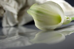 Beileid aussprechen - Richtige Worte finden